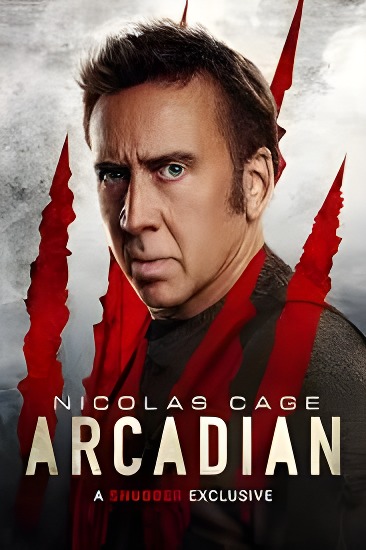 Nicolas Cage poster