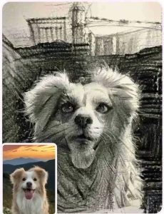 puppy photo to sketch