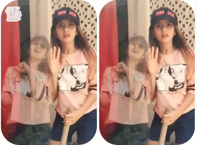 remove smaller TikTok watermarks with precision