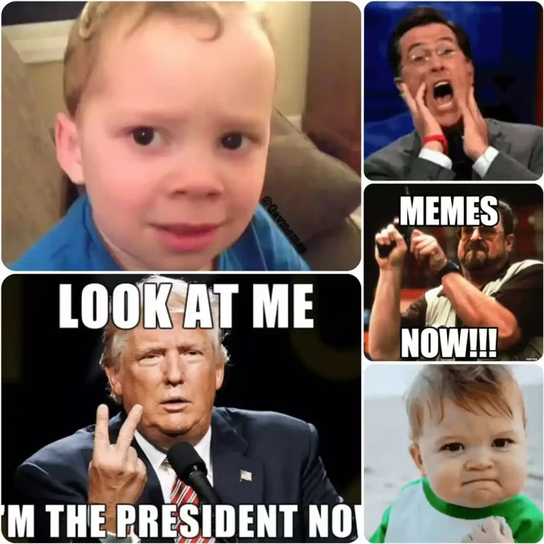 A collection of memes