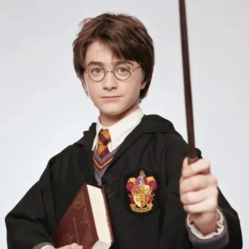 Modelo de Troca de Rosto do Harry Potter