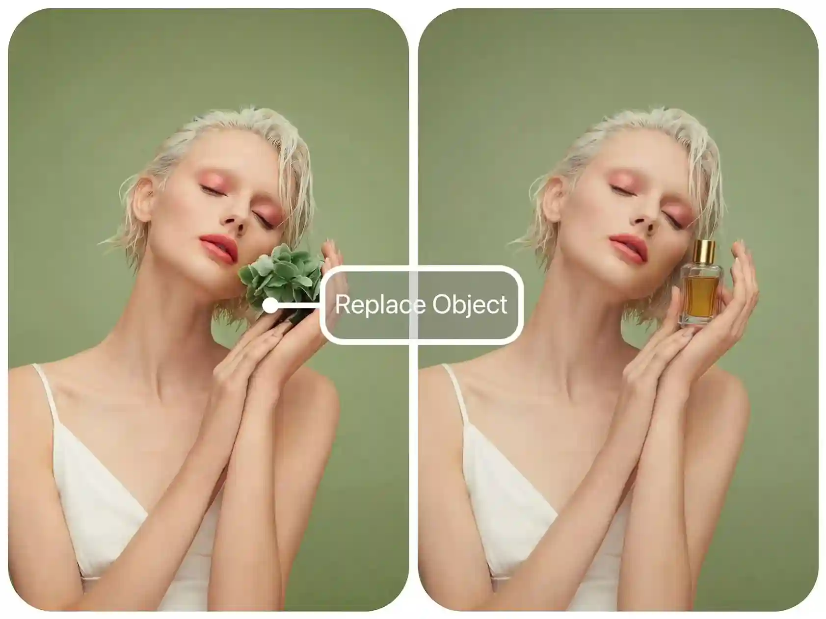 Try AI Photo Editor for Object Replacement