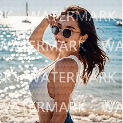 video watermark remover