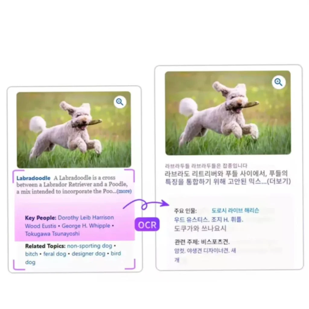 Ru AI image translator