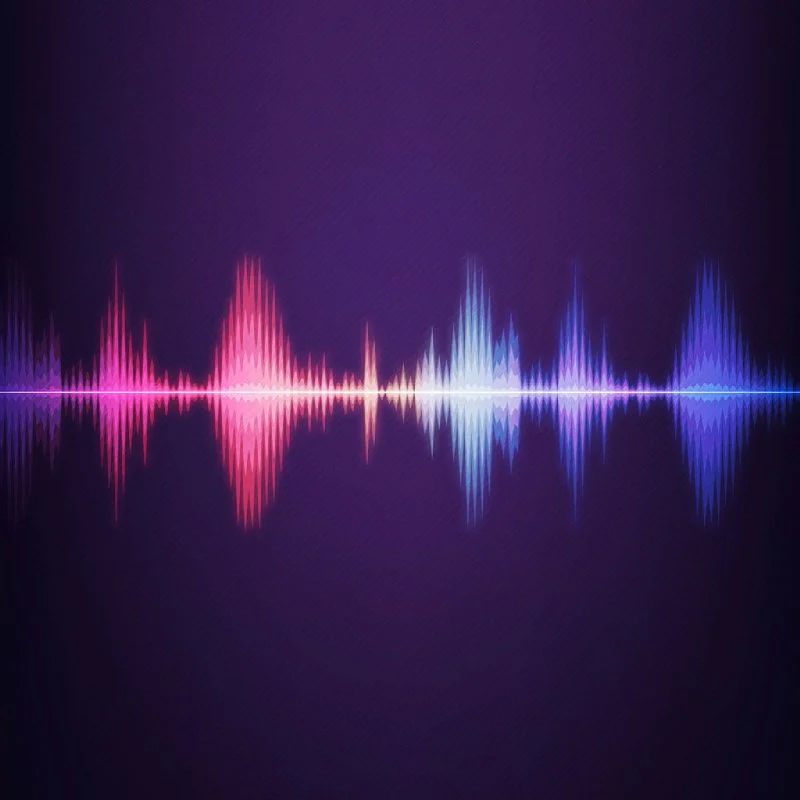 Bass track