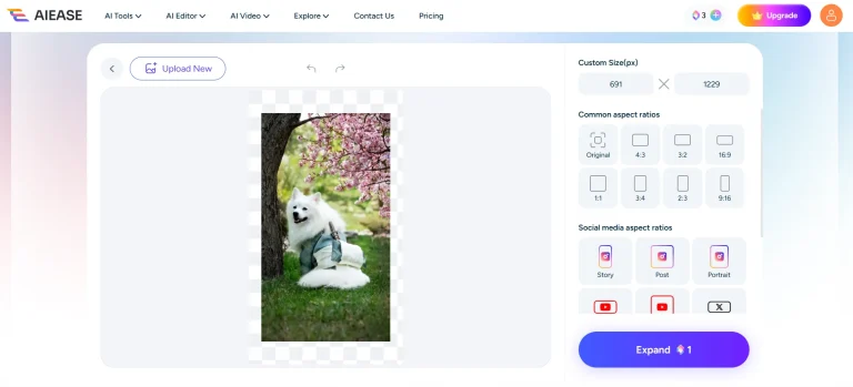 The interface of AI Image extender on AIEase