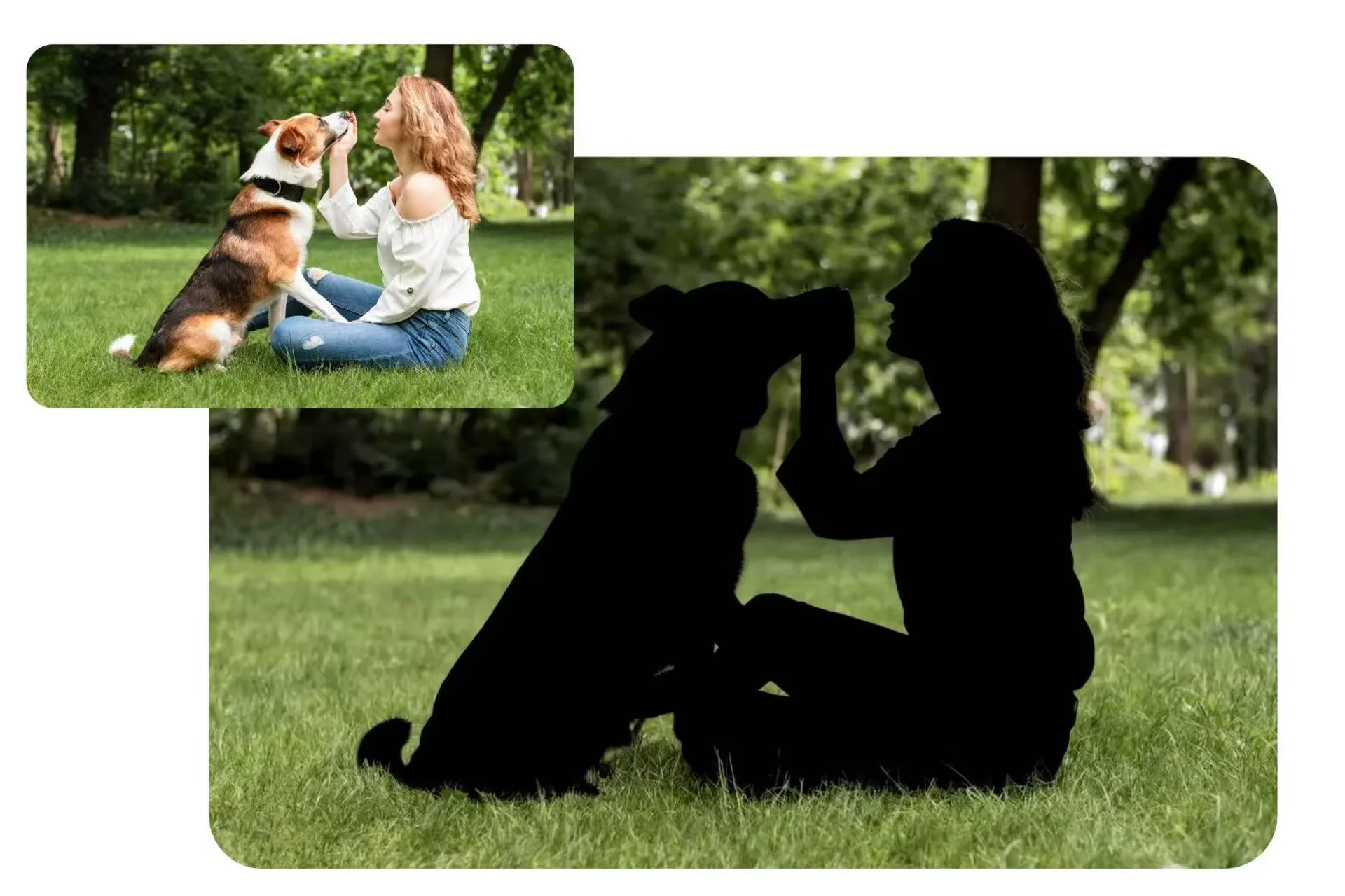 Create Pet Silhouette for Creative Posters