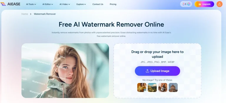 The interface of AI watermark remover on AIEase