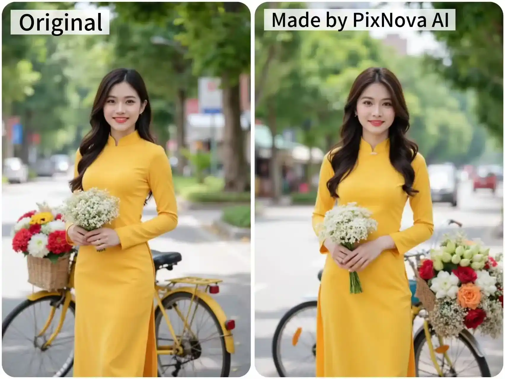 Original realistic Image vs. PixNova AI Generated Image