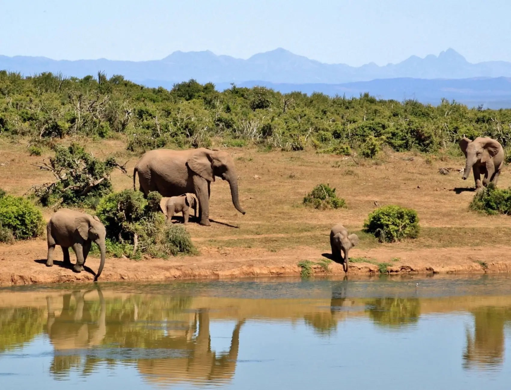 Make Your Landscapes Pop with AI Color Correction