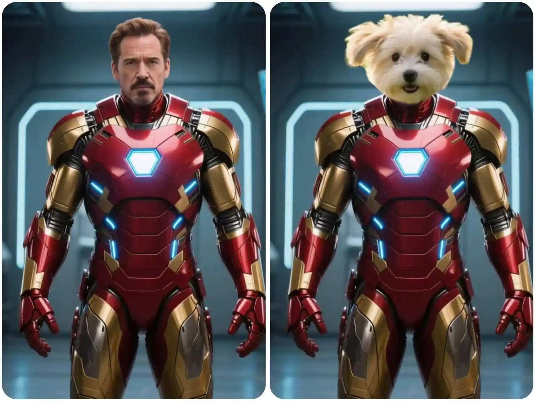 Swap Heads with Pets to Get Hilarious Memes