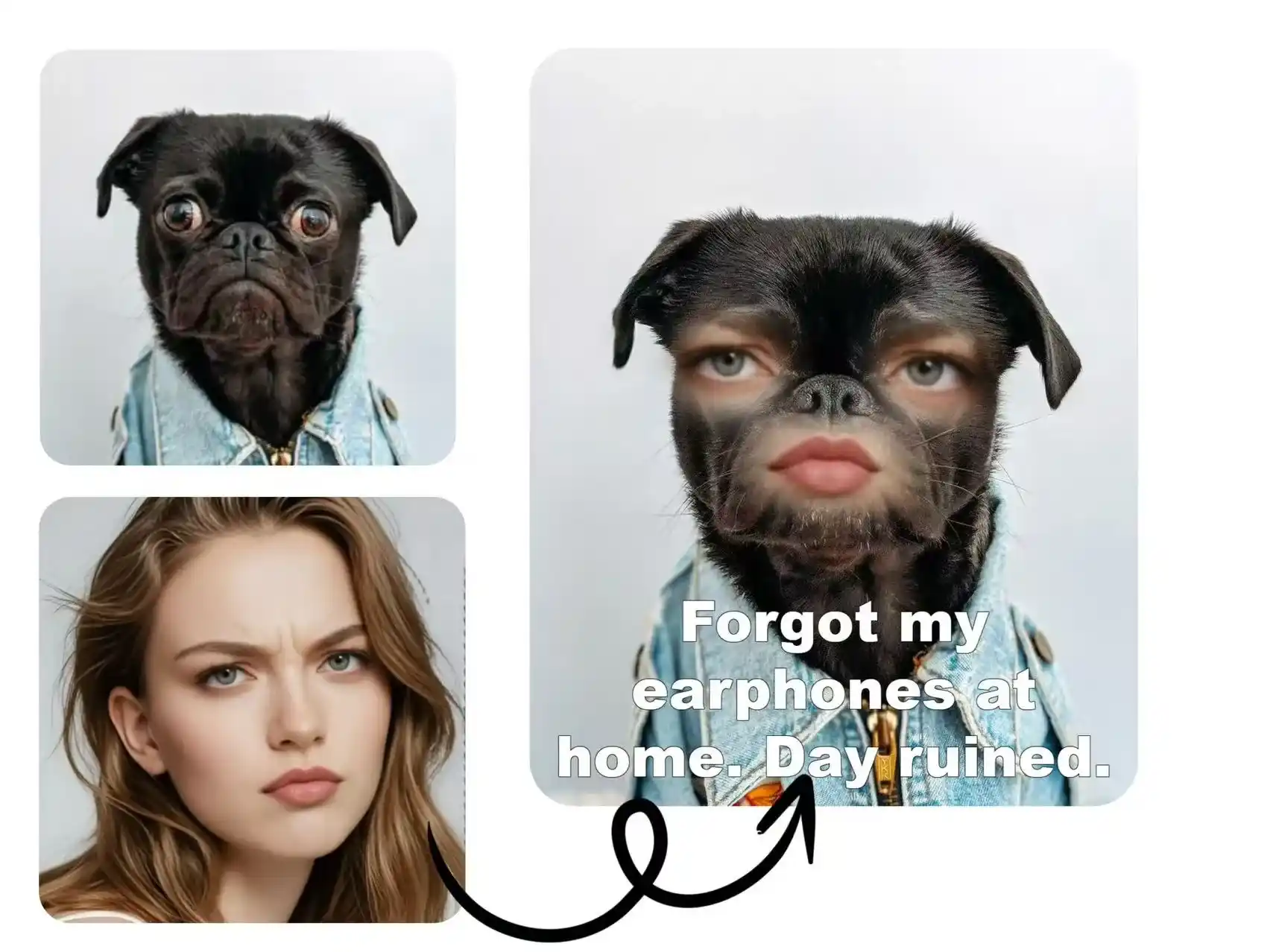 Morph Your Face with Animals for Hilarious Memes