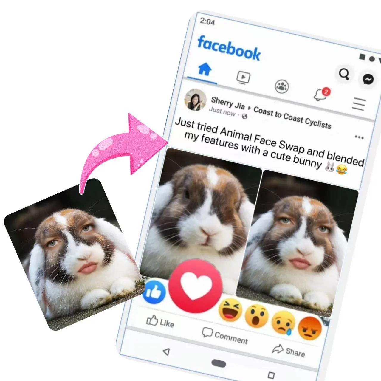 Crazy Animal Face Swap for Going Viral in Communities